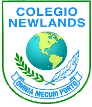 colegio Newlands
